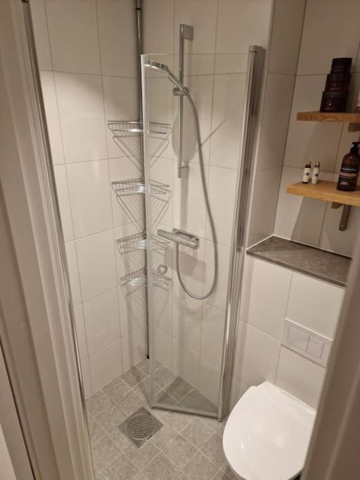 Modern Room With Bathroom, No Kitchen And Your Own Entrance 斯德哥尔摩 外观 照片
